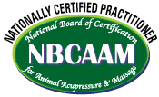 NBCAAM Logo